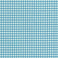 Carolina Gingham - Pond